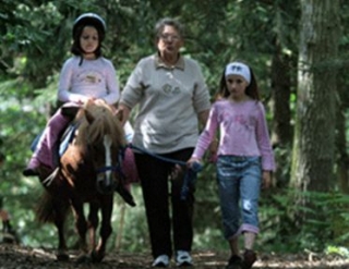  53 区儿童骑小马 